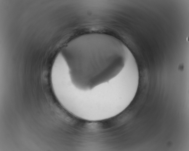 X0000115170269200911251340