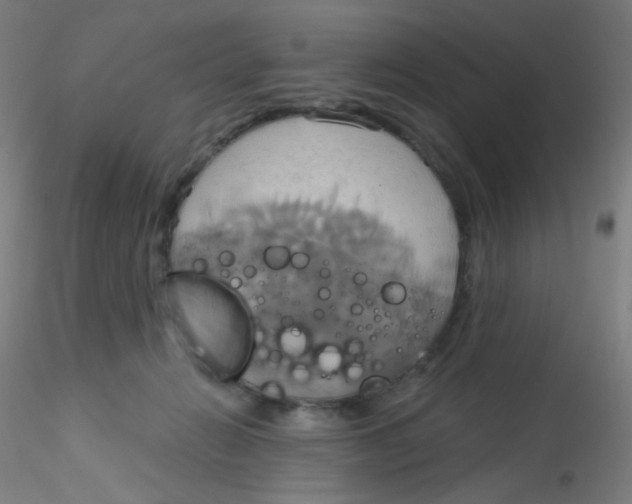 X0000115170270200911251340