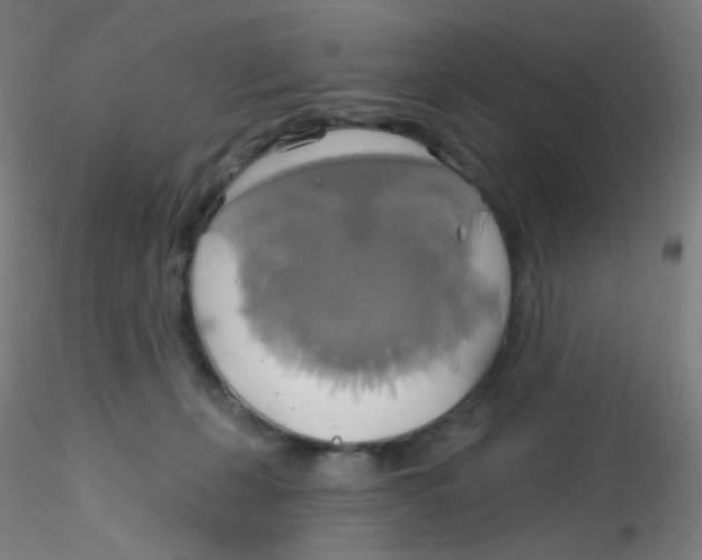 X0000115170271200911251340