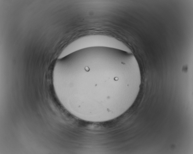 X0000115170272200911251340