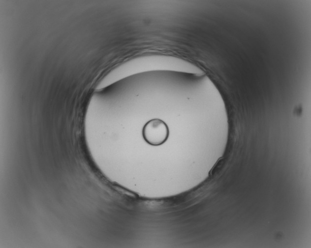 X0000115170273200911251340