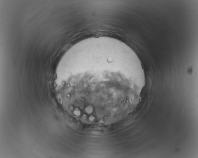 X0000115170274200911251340