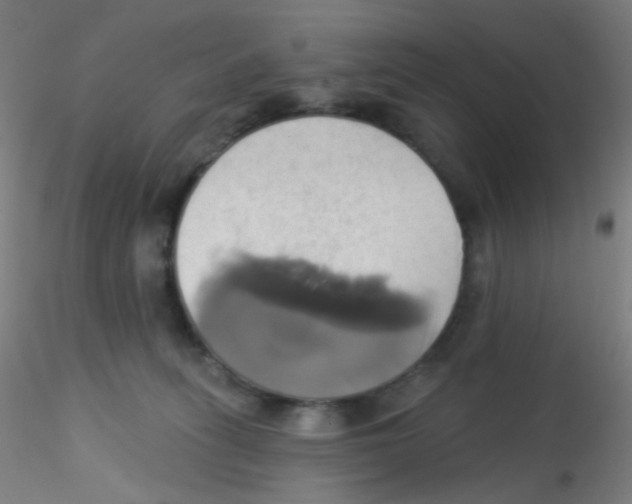 X0000115170275200911251340