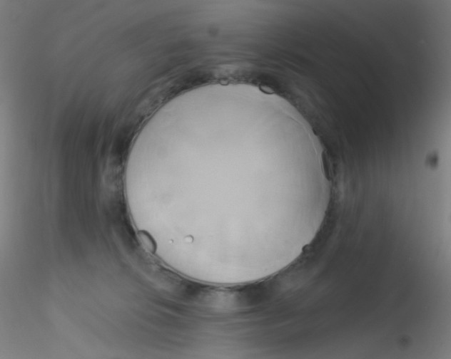 X0000115170276200911251340