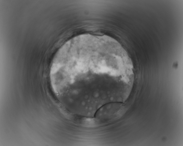 X0000115170277200911251340