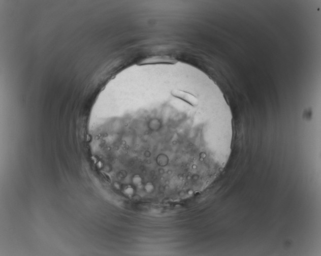 X0000115170278200911251340