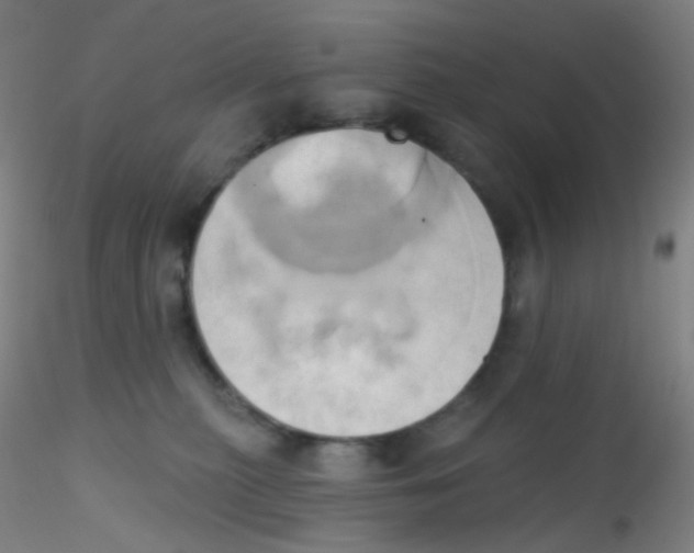 X0000115170279200911251340