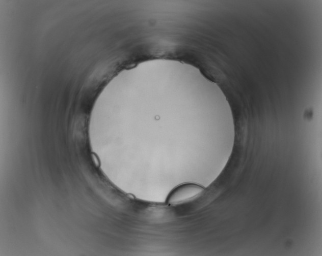 X0000115170280200911251340