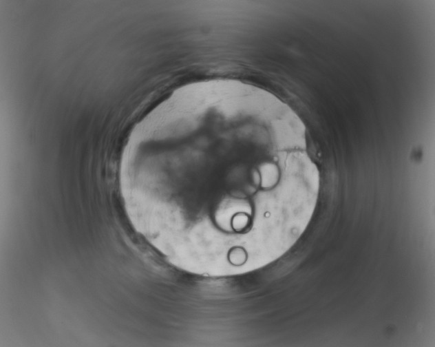 X0000115170281200911251341