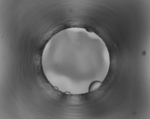 X0000115170282200911251341