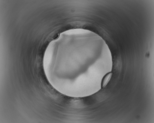 X0000115170283200911251341