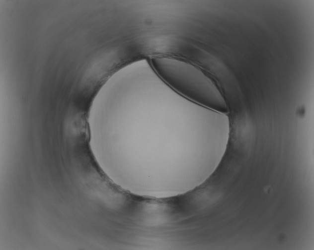 X0000115170284200911251341