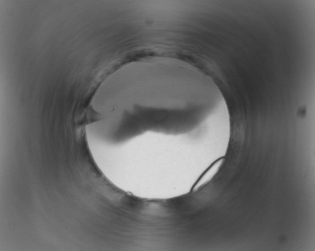 X0000115170285200911251341