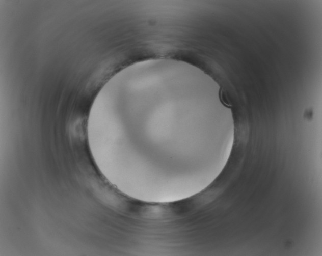 X0000115170286200911251341