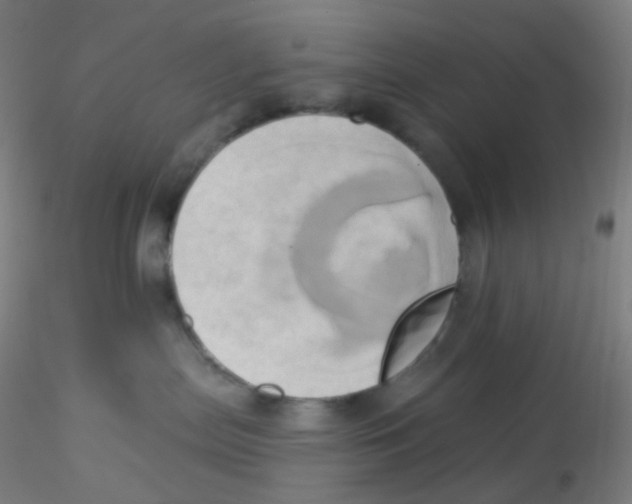 X0000115170287200911251341