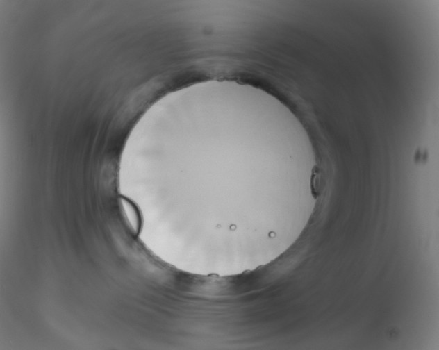 X0000115170288200911251341