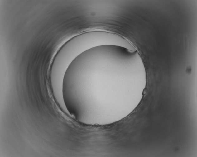 X0000115170289200911251340