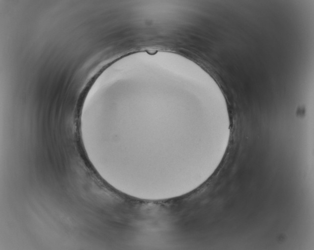 X0000115170290200911251340