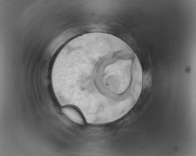 X0000115170291200911251340