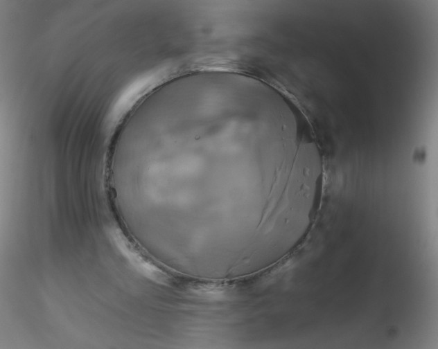 X0000115170293200911251340