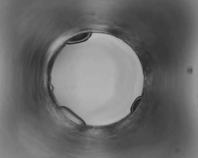 X0000115170294200911251340