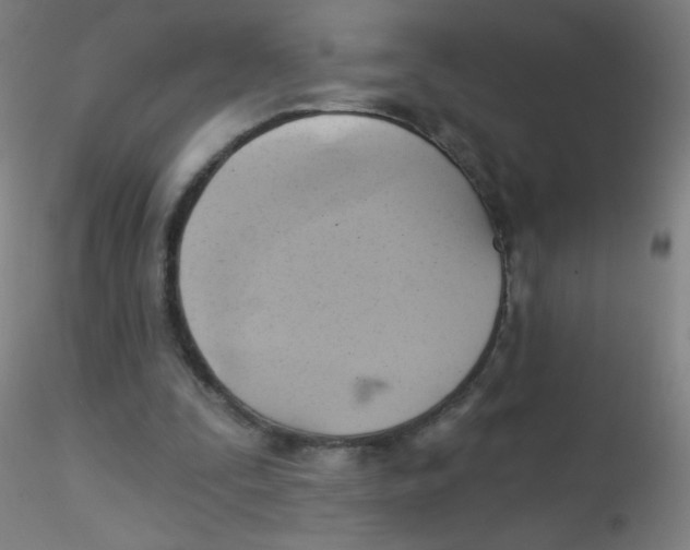 X0000115170295200911251340