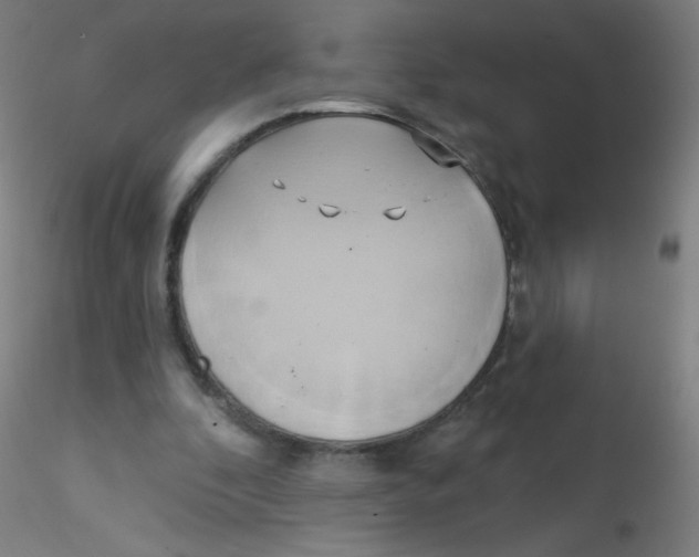 X0000115170296200911251340