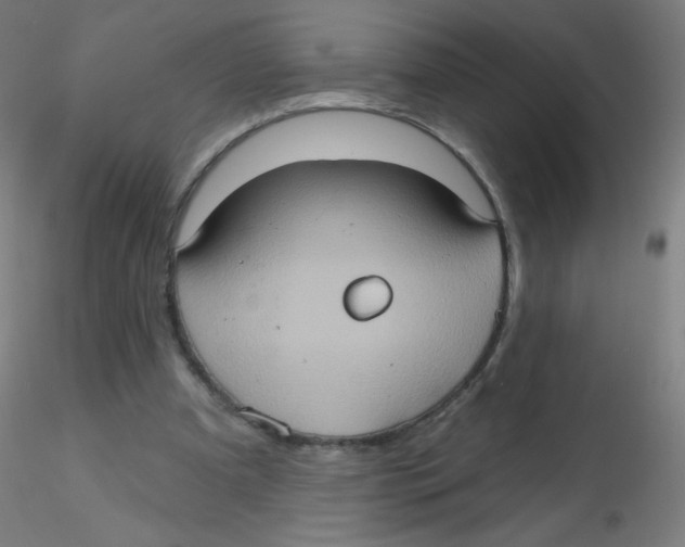 X0000115170297200911251340