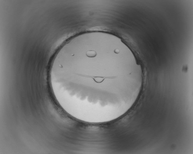 X0000115170298200911251340