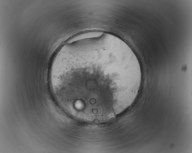 X0000115170299200911251340