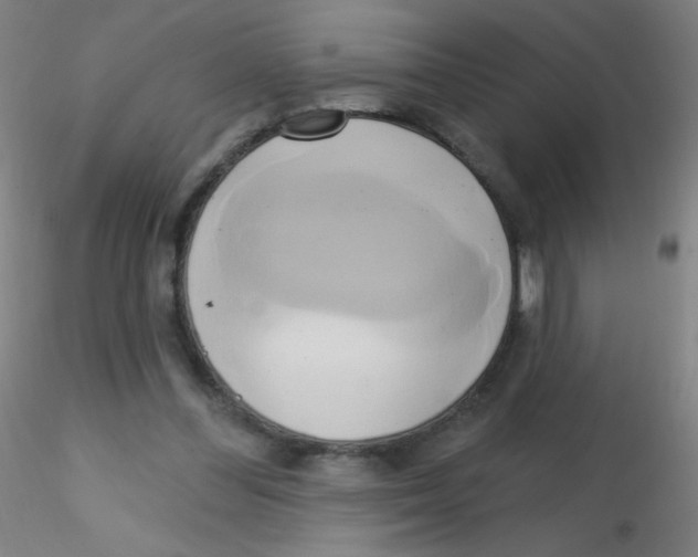 X0000115170300200911251340