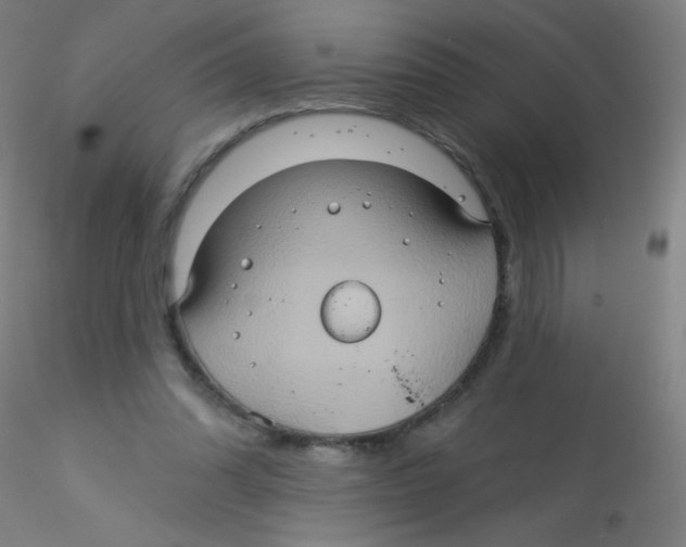 X0000115170302200911251340