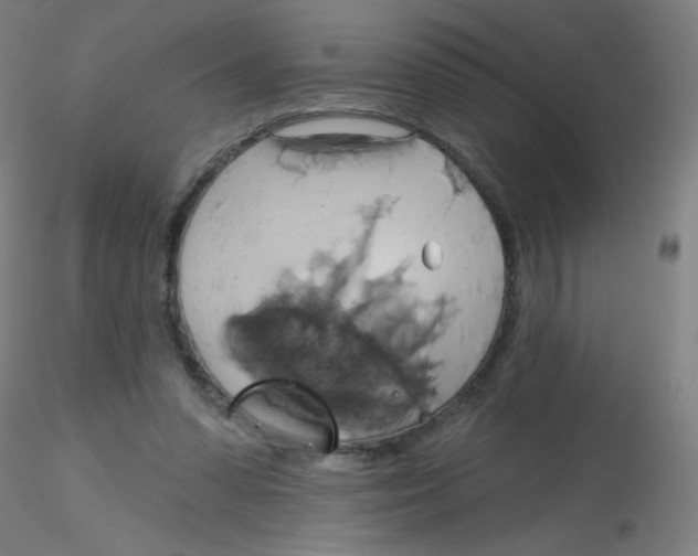 X0000115170303200911251340