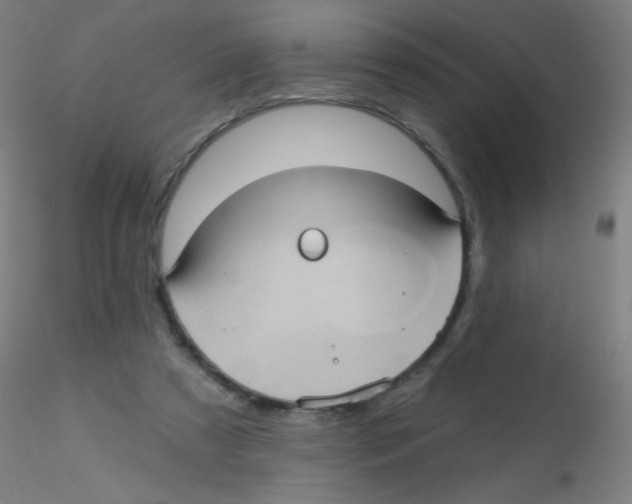 X0000115170305200911251340