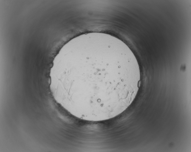 X0000115170307200911251340