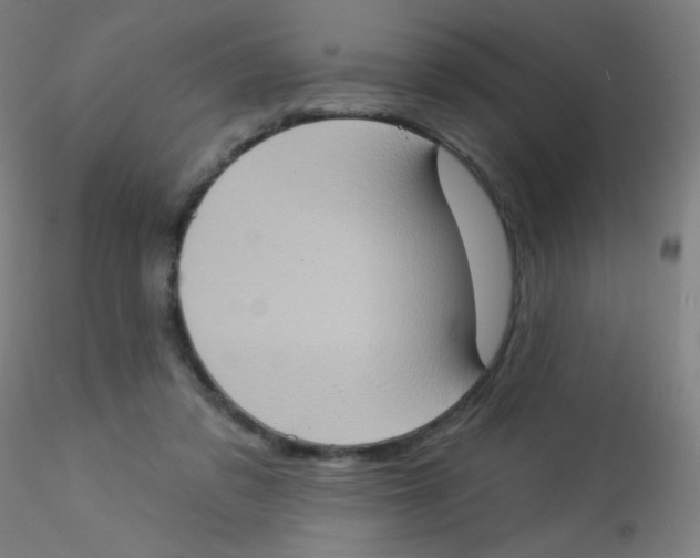 X0000115170309200911251340