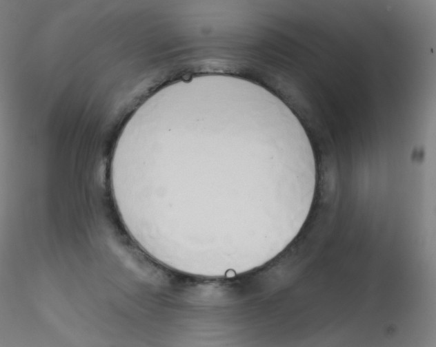 X0000115170310200911251340