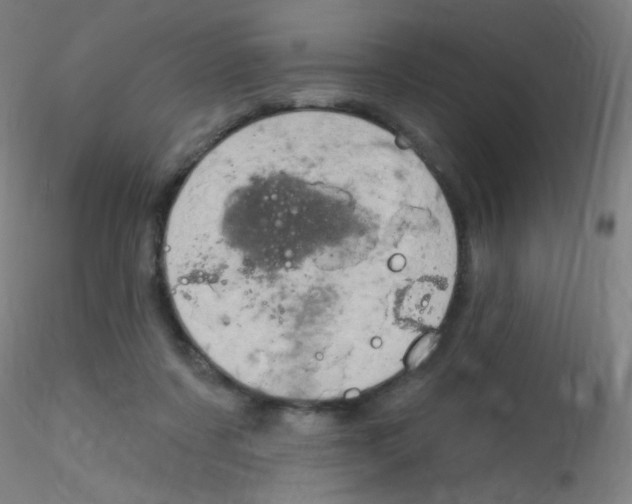 X0000115170311200911251340