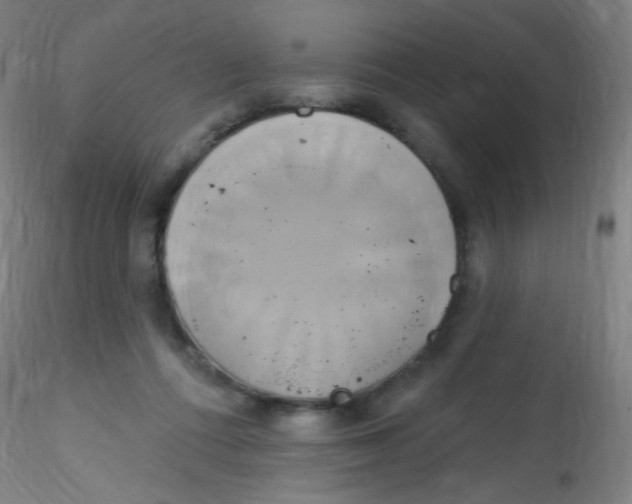 X0000115170312200911251340