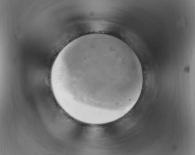 X0000115170313200911251340