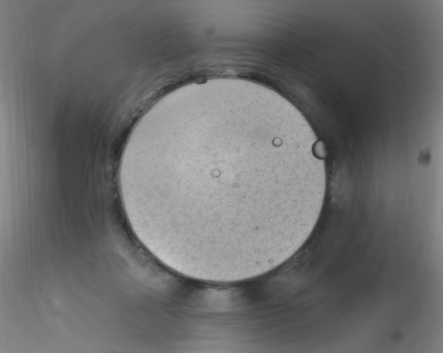 X0000115170314200911251340