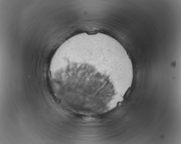 X0000115170315200911251340