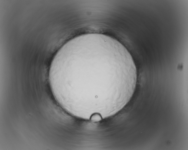 X0000115170318200911251340