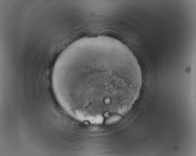 X0000115170319200911251340