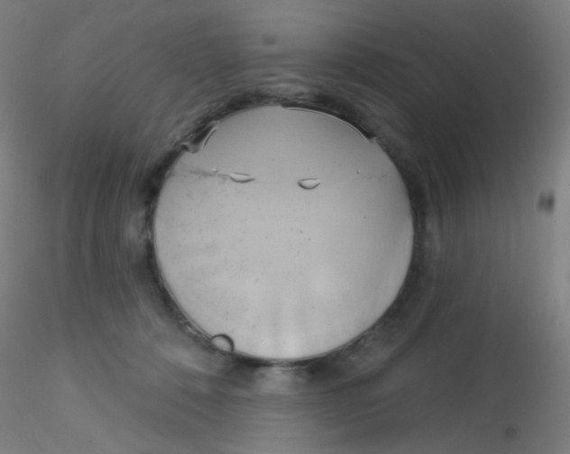 X0000115170320200911251340