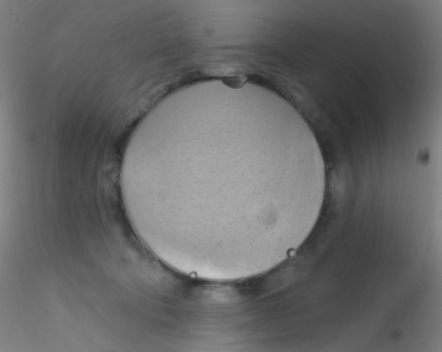 X0000115170322200911251339