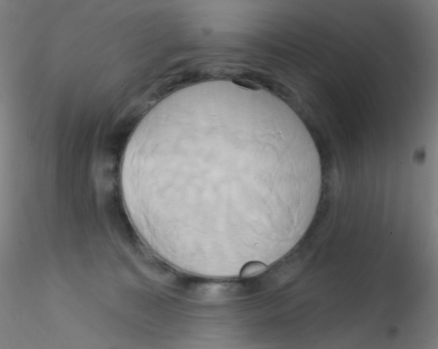 X0000115170323200911251339