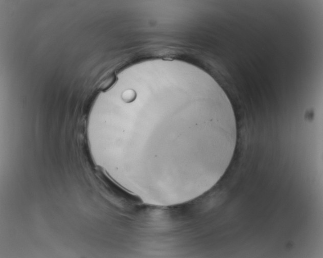 X0000115170325200911251339