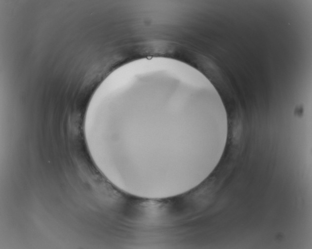 X0000115170326200911251339