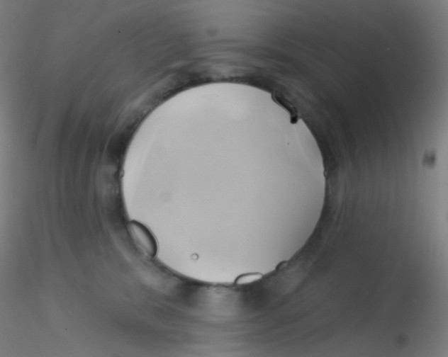 X0000115170327200911251339